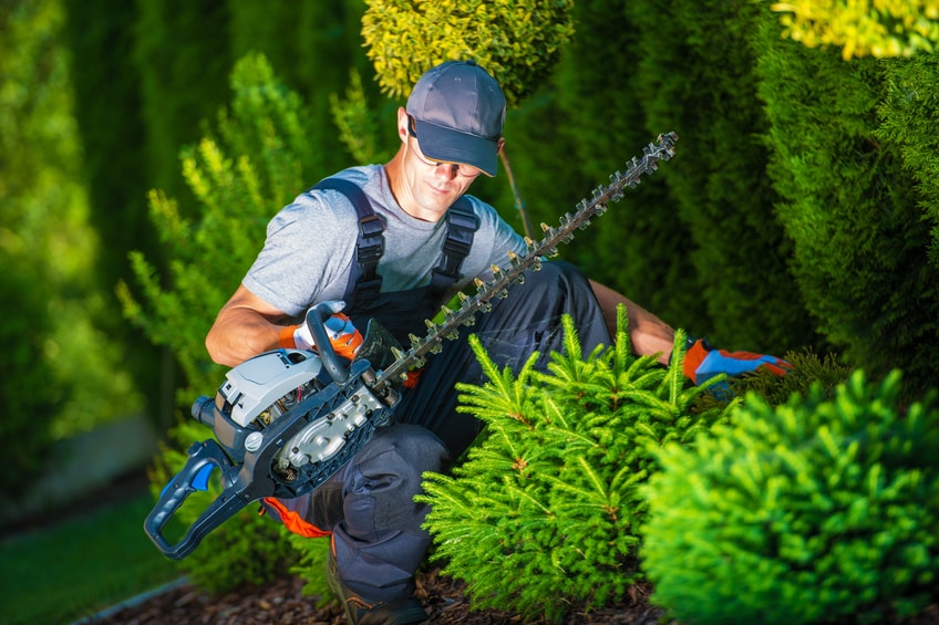 Landscaper Insurance Essentials For A Solid Business Plan